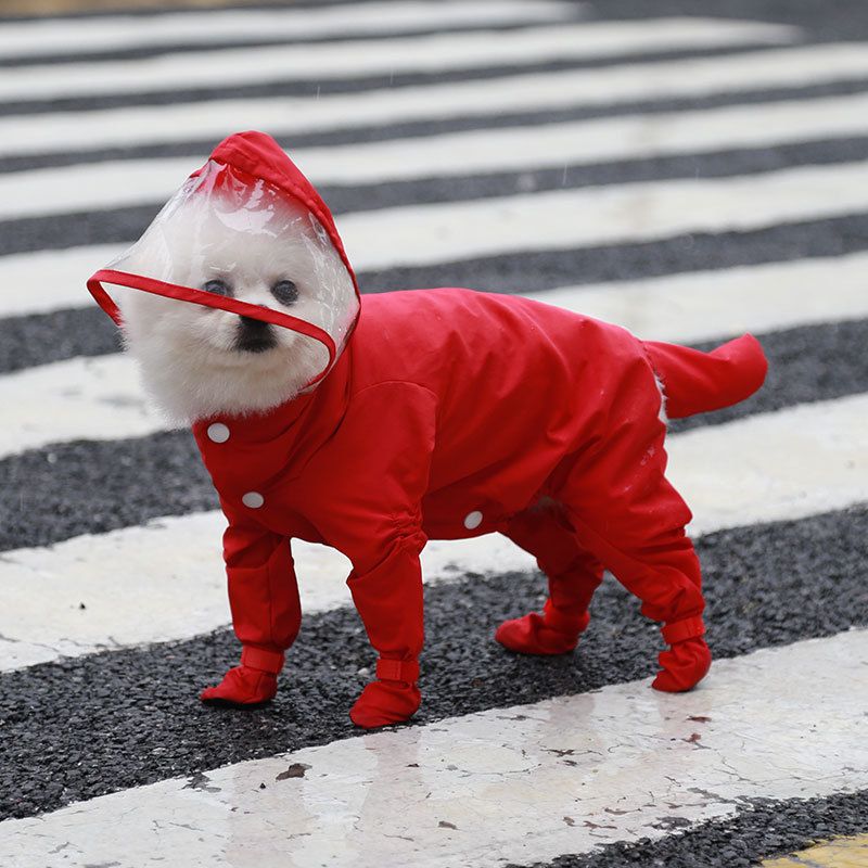 All inclusive pet cat, dog, four legged waterproof raincoat, rain shoes, teddy bear, faddou household outdoor supplies_voghion.com