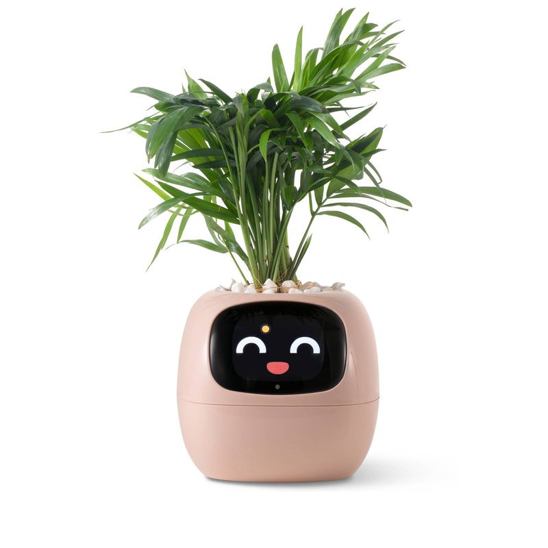 Pametni robot za sajenje hišnih ljubljenčkov, usmerjanje o negi rastlin z emojiji, prikupen spremljevalec rastlin z bogato interakcijo s kretnjami, lepo darilo za postavitev na mizi (roza)_voghion.com