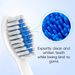8 Pack Compatible With Philips Sonicare Electric Toothbrush Soft Replacement Brush Heads, Professional Toothbrushes Head Refills For 1100, 2100, 4100_voghion.com