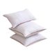 Ultra-Soft Feather Velvet Pillow Insert – Modern Minimalist Design For Sofa, Bed & Office (Hypoallergenic, Multiple Sizes, Red/Gray Trim)_voghion.com