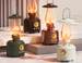 Cross-Border Kerosene Bluetooth Portable Outdoor Camping Lamp Sound Flame Atmosphere Night Light Speaker_voghion.com