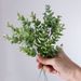 Tiges d'eucalyptus artificielles - Bouquet de verdure à 6 couches pour décoration intérieure, mariages et fêtes_voghion.com