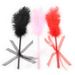 Sex Products Flirting Sticks Feather Rackets Teasing Sticks Training Alternative Female Products_voghion.com