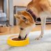 Pet Round For Cats Dogs, Small And Medium Dogs Food Dish, Anti-Bite, Anti-Tip, Large Capacity Dog Bowl, Water Bowl_voghion.com