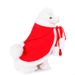 Creative Pet New Halloween Transformation Funny Cat Clothes Cloak_voghion.com