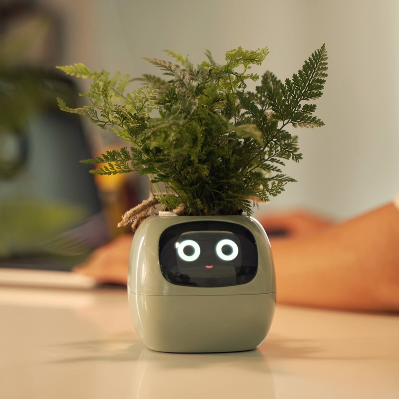 Smart Pet Planter Robot Guidance On Plant Care With Emojis, Adorable Plant Companion With Rich Gesture Interaction, Neat Desk Setup Gift (Green)_voghion.com
