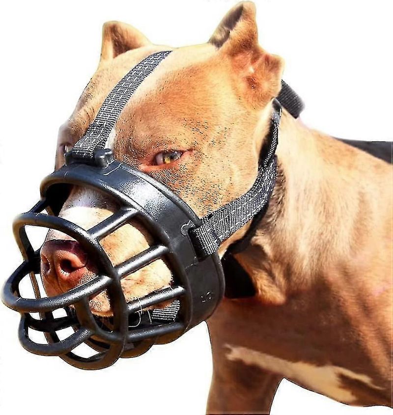 Museruola morbida a forma di cestino per cani, vestibilità sicura e confortevole, previene meglio i morsi, la masticazione e l'abbaiare._voghion.com
