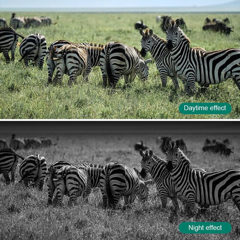 Wildlife Trail Camera – 1080P HD Night Vision With 6-Month Battery & Rainproof IR Tracking (Up To 16MP, TF Card Ready)​_voghion.com