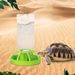 Automatic Gravity-Fed Small Pet Water Dispenser For Turtles, Lizards, Hamsters With Transparent Water Bottle & Dish, Spillproof Design_voghion.com