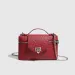Ostrich Pattern Box Crossbody Chain Bag Women's Handbag Mini 2025 Spring_voghion.com