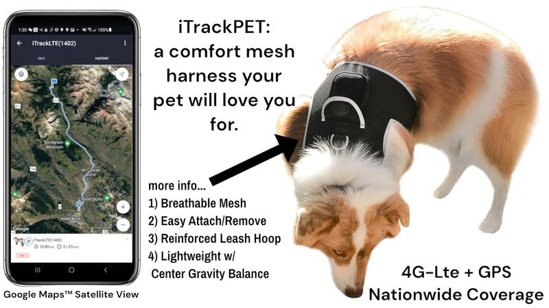 Portable Real-time GSM Cat/Dog GPS Tracker Waterproof Mini Pet Locator Size:XL_voghion.com