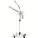 Facial Steamer & 5X Magnifying Lamp Professional Aromatherapy Humidifier For Salon Adjustable Height, With Wheels Sleek_voghion.com