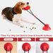 Pet Simulation Big Pineapple With Suction Cup Chew Toy Training Boredom Relief Dog Teeth Grinding Stick_voghion.com