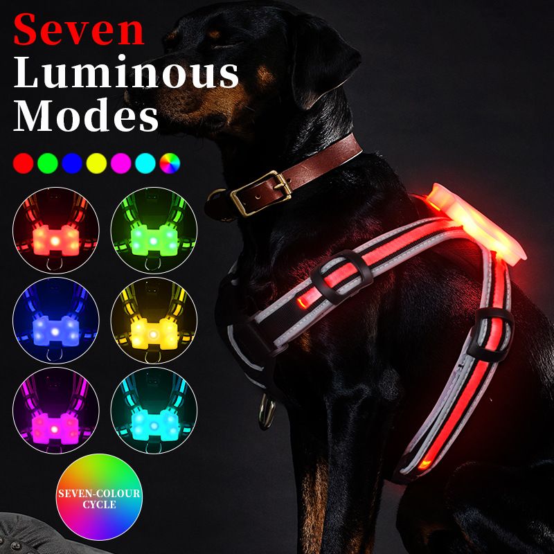 Pet Light-Up Wiederaufladbare Weste Anti-Explosion Brust Universal Hund Harness Leine_voghion.com