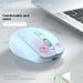 Digitex Digitex Mouse ottico wireless con doppia modalità Bluetooth per ufficio e attività commerciali, silenzioso e ricaricabile_voghion.com