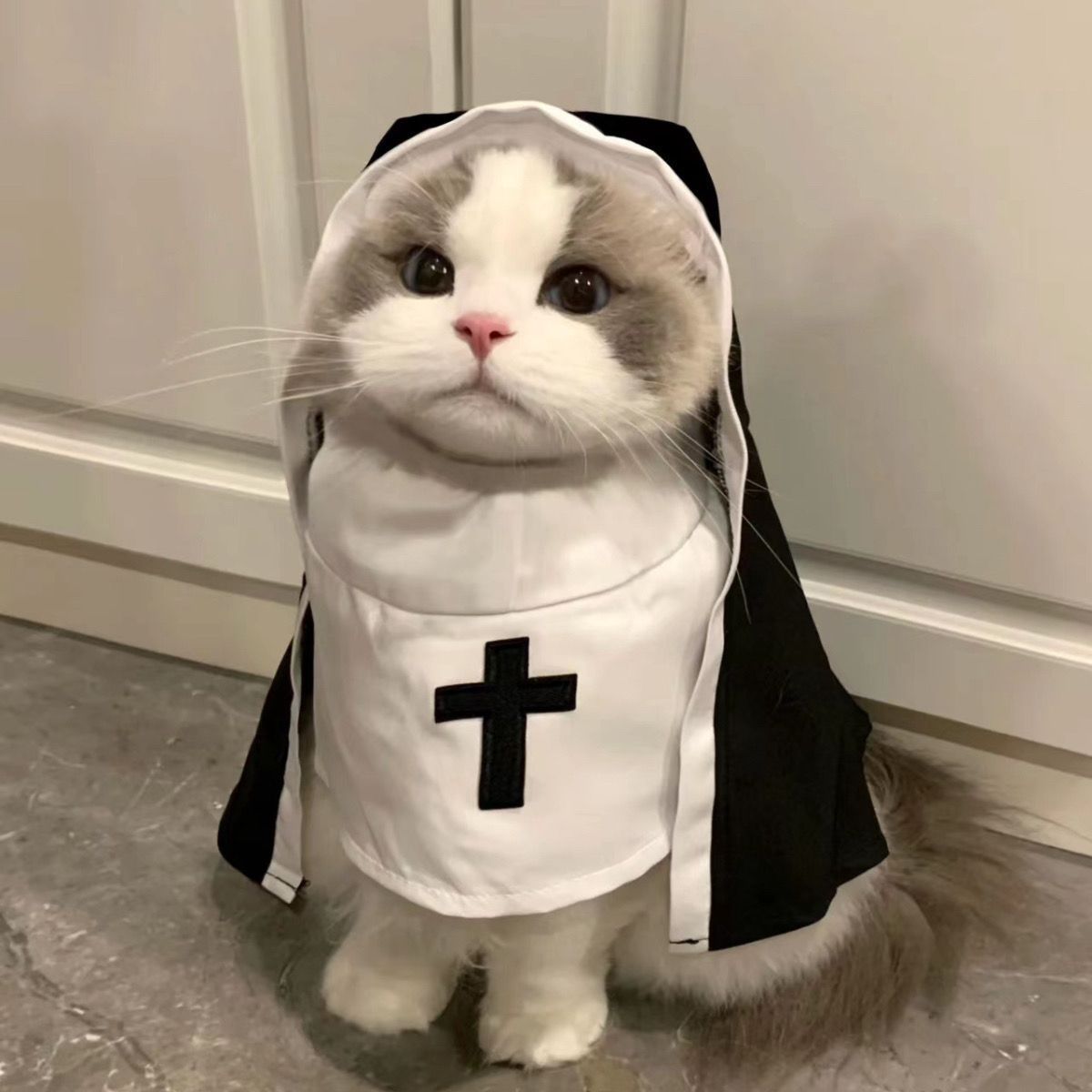 Little Cat Costume Pet Clothes Repair Dog Outfit Breathable Funny Cosplay Photo Props Small And Medium Ins Internet_voghion.com