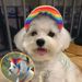 Baseball Dog Accessories Pet Beret Teddy Duck Tongue Hat_voghion.com