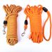 Pet Training Cat Belt 5.1m 15m Chain Dog Leash Tracking Rope_voghion.com
