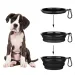 Silicone Dog Feeding Bowl, 1000 Ml, With Carabiner By PawParty Store_voghion.com