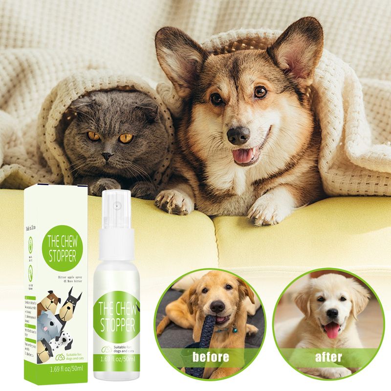 Spray répulsif pour chats, spray pour zones restreintes pour animaux, empêche les chats et les chiens d'uriner et de déféquer partout, et de gratter la maison_voghion.com