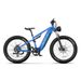 DUOTTS E26 26" Fat Tire Elektro-Mountainbike 750W Motor 48V 20Ah Batterie_voghion.com