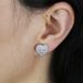 Damenschmuck Herzförmige Zirkon Ohrringe Nischendesign High-End-Ohrringe Zubehör_voghion.com