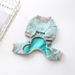 Pet Autumn Winter New Cotton Elastic Thickened Dog Four-Legged Teddy Puppy Clothes Warm_voghion.com