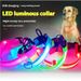 Kæledyr LED Nylon USB Lysende Hunde Natlys Opladningshalsbånd Trådnet Ring_voghion.com