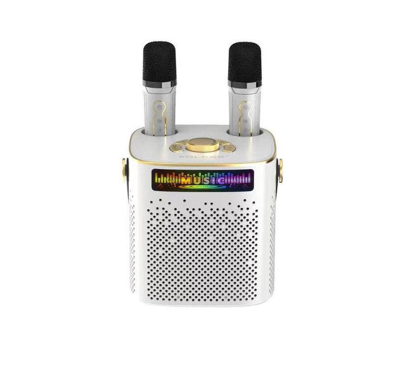 New P889 home karaoke speaker, portable Bluetooth subwoofer with dual microphones, outdoor microphone_voghion.com