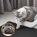 Cat Litter Mat Double Layer Waterproof Urine Proof Trapping Mat Easy To Clean Non-Slip Toilet Pad Cat Scratch Pad Large Foot Pad_voghion.com