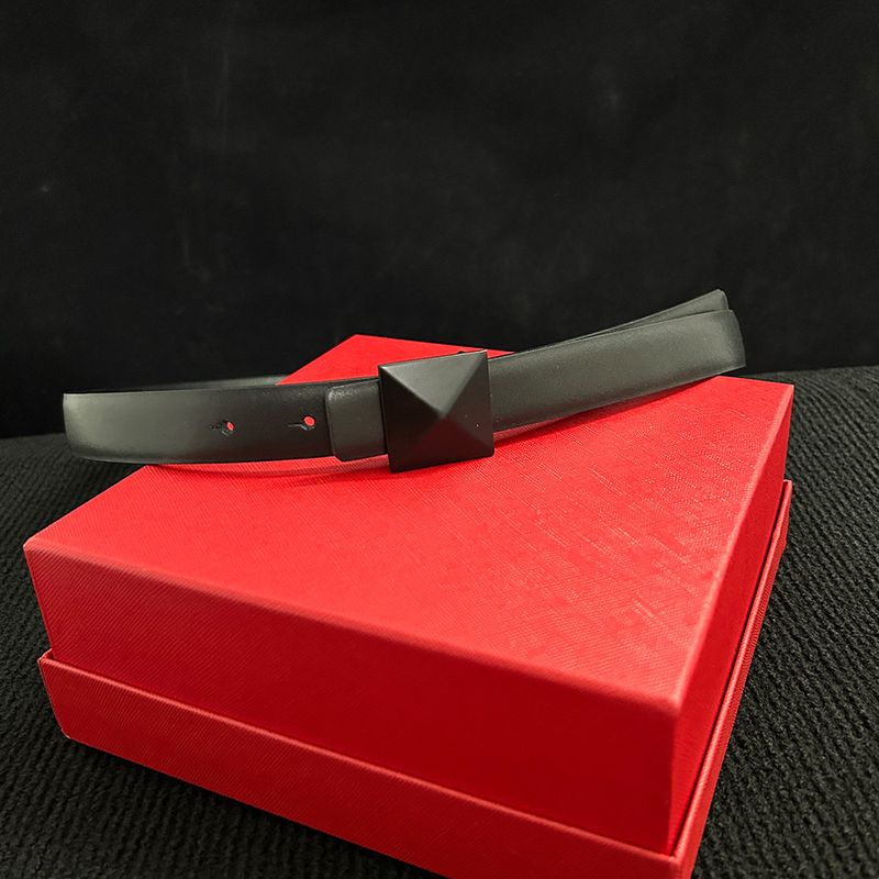 New Women's Rivet Buckle 2.5cm Versatile Decorative Belt Fashion Microfiber Luxury Basic Belt_voghion.com