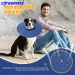 Dog Recovery Collar After Surgery Anti-Bite Lick Surgery Wound Adjustable Breathable Collar For Small Large Dogs Accessories_voghion.com