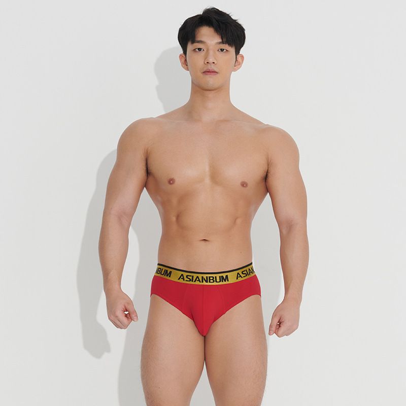 Vêtements pour hommes Slip taille moyenne en coton pour hommes Boxer triangle imprimé année du zodiaque rouge Boxer porte-bonheur_voghion.com