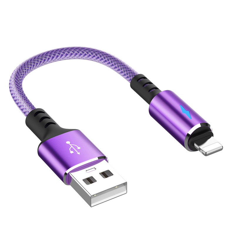 USB 25cm Kabel für iPhone 11 12 13 14 Pro Max Mini Xs Xr X SE 8 7 6 Plus 6s 5 5s 2,4A Schnellladekabel für ich_voghion.com