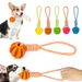 Treat With Rope, Interactive Rubber Flowing Balls Toys For Small And Large Dogs, Chew Toys, Bite-Resistant, Pet Supplies By PawParty Store_voghion.com