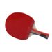 Raqueta de práctica de tenis de mesa Regal D001 Set_voghion.com