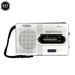 New Portable AM/FM Mini Handheld Dual Band Music Player Speaker With Telescopic Antenna Outdoor Radio Stereo BC-R21_voghion.com