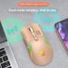 Digitex Digitex R8 Brand Wireless Bluetooth Dual Mode Mechanical Office Gaming Universal Colorful Luminous Mouse Cross-Border Wholesale_voghion.com
