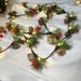 2 m batteriebetriebene Lichterkette mit Tannenzapfen und Glocken – blinkende LED-Lichterkette für die Weihnachtsdekoration im Innenbereich (rote Beeren, IP43)_voghion.com