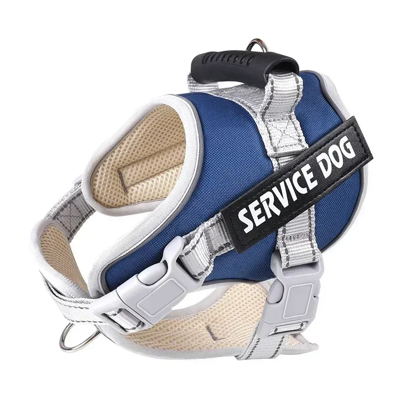 Harnais réglable pour chien, gilet, laisse, grand chien, accessoires de dressage pour chien en extérieur_voghion.com