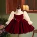 Girl's Wine Red Tulle Princess Dress - Elegant Party Gown For Special Occasions Fashion Trends Hot-selling_voghion.com