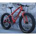 Direct Sales Snowmobile 26/ 20inch Dual Disc Brake Mountain Snow Beach Fat Tire Variable Speed Bicycle_voghion.com