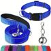 Bell - Set di tre pezzi con guinzaglio riflettente per cani e gatti, multicolore, collare opzionale_voghion.com