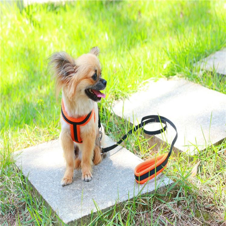 New Pet Supplies Factory Dog Leash Collar Back Mesh Breathable Clip Chest Pull_voghion.com