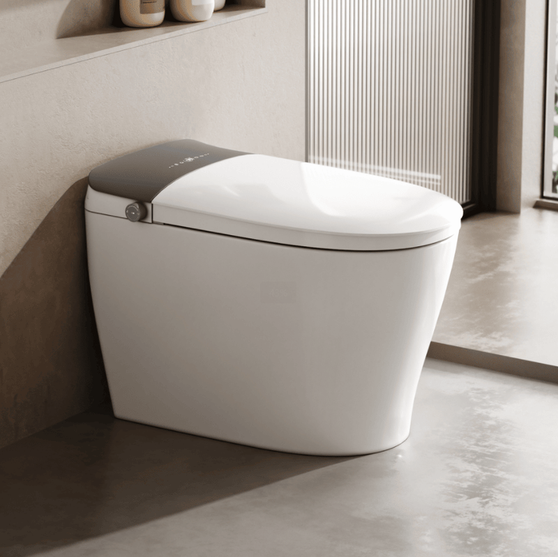 Smart Toilet Integrated Intelligent Toilet Top Replacement Liquid Safe Anti-Leakage Antibacterial Seat Deodorizing And Silent Smart Toilet Instant Deodorization, In-Vagina Wash/In-Woman Wash/Mobile_voghion.com