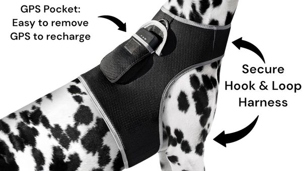 Worry-free Dog Walk with Mini Realtime GSM GPRS Waterproof Pet Tracker Size:XL_voghion.com
