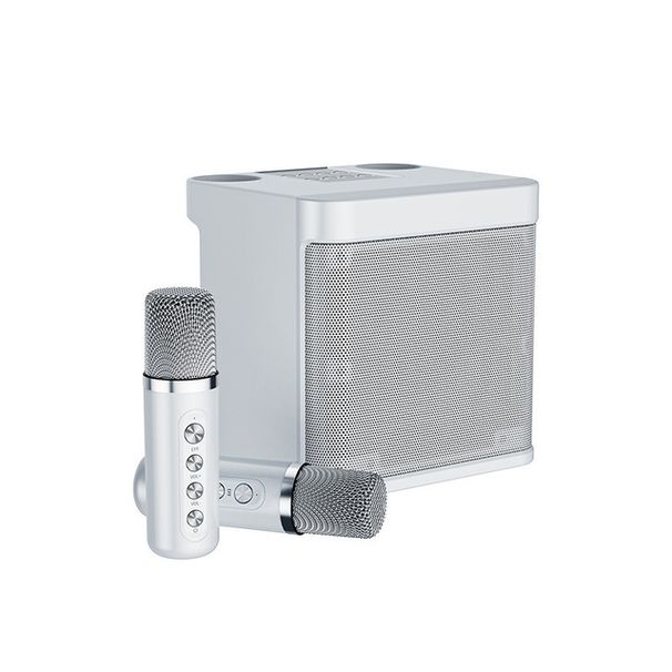 100W YS-203 portable professionelle Karaoke Duebelmikrofon Bluetooth-kompatibele Lautsprecher intelligent extern Karaoke-Gerät_voghion.com
