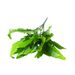 7-pronged small bunch of Persian leaves Persian grass Engineering decoration simulation plants artificial flowers green plants fern leaves plant wall_voghion.com