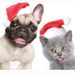 Vánoční čepice pro domácí mazlíčky, Santa Claus, vánoční čepice pro psa, malá čepice pro psy, chlupatá čepice pro kočky a pse, vánoční dekorace na večírek_voghion.com