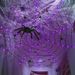 1.2M 80LED Halloween Decoration USB Spider Web Light String With Nine Remote Control Modes For Halloween Party DIY Holid_voghion.com